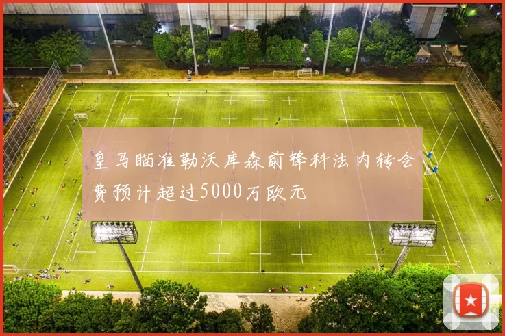 皇马瞄准勒沃库森前锋科法内转会费预计超过5000万欧元